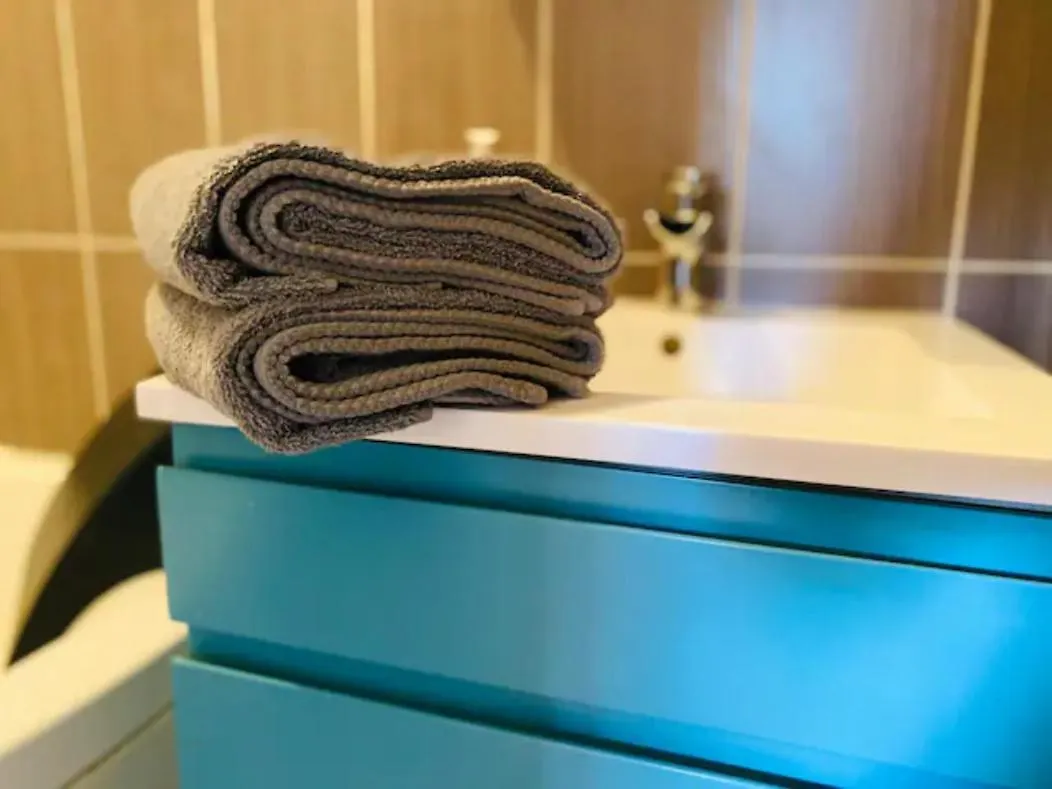 Le Zen Appartement Balneo גרנובל 0*,  צרפת